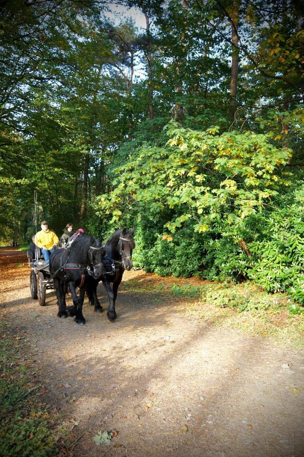 De Swaenhoeve Zoersel Exterior foto